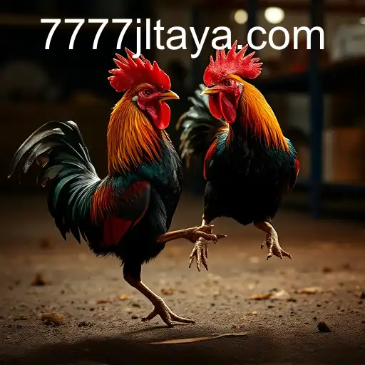 Exploring the Dynamic World of Online Sabong and the Role of 7777 JL